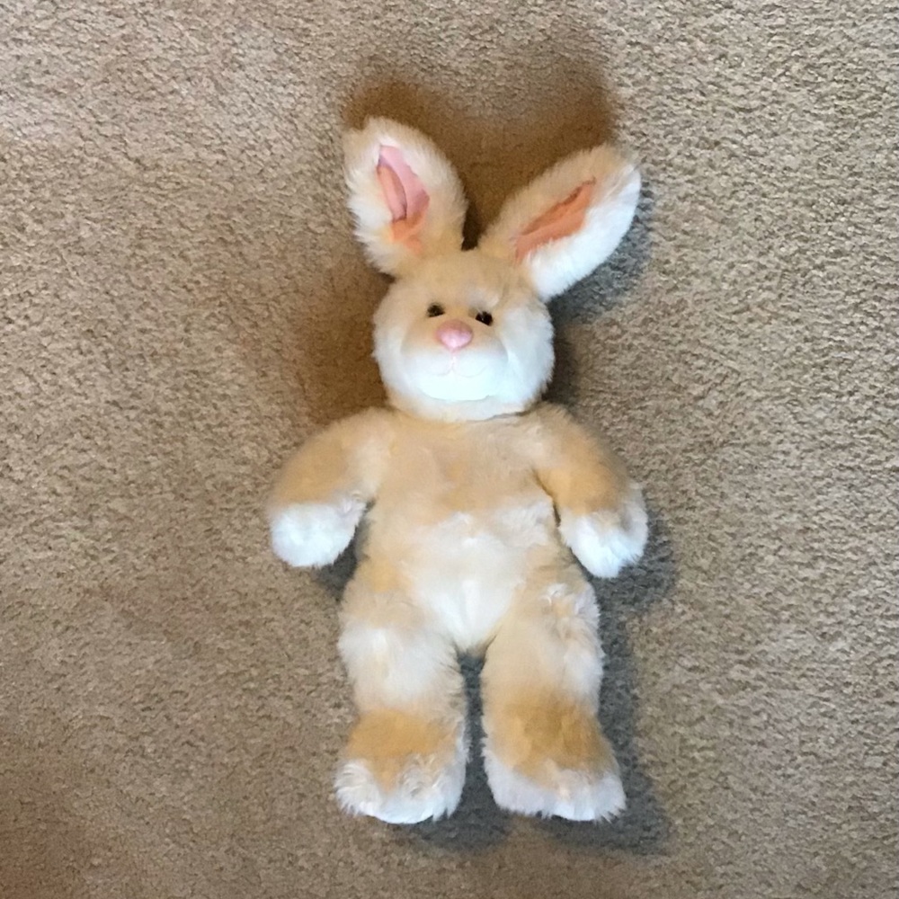 Girls stuffed Bunny